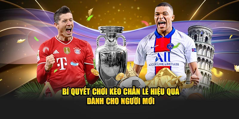 Bí quyết chơi kèo E/O hiệu quả dành cho người mới